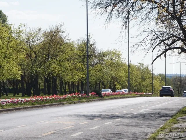 Kiadó kereskedelmi és ipari ingatlan Budapest X. kerület, Óhegy, Mádi utca 17. 480 nm