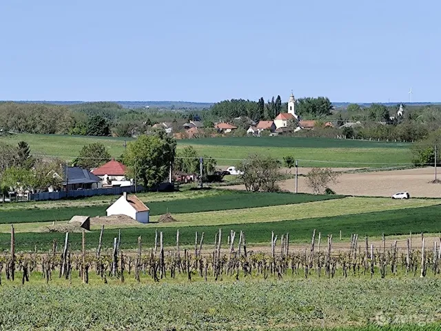 Eladó telek Pázmándfalu 5107 nm