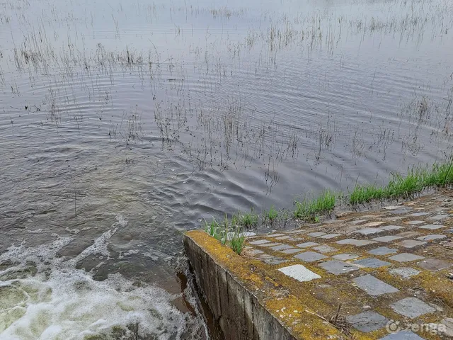 Eladó mezőgazdasági ingatlan Szabadszállás 60000 nm