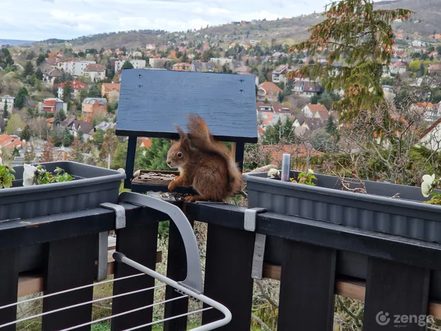 Eladó lakás Budapest XI. kerület, Sasad-Sashegy XI. ker. 111 nm