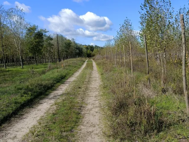 Eladó mezőgazdasági ingatlan Mikebuda, külterület 35000 nm