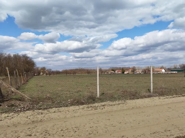 Eladó mezőgazdasági ingatlan Csemő 7610 nm