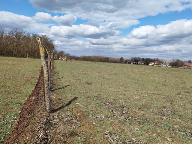 Eladó mezőgazdasági ingatlan Csemő 7610 nm