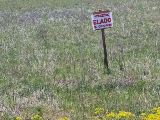 Eladó mezőgazdasági ingatlan Csemő 7610 nm