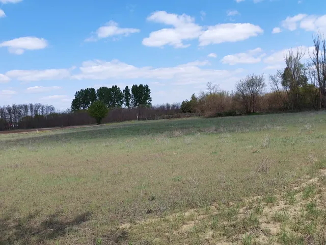 Eladó mezőgazdasági ingatlan Csemő, Zöldhalom  7610 nm