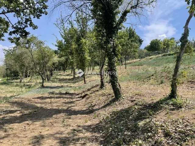Eladó telek Budaörs 1194 nm