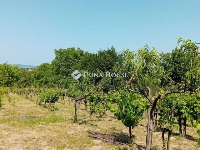Eladó telek Etyek 8335 nm