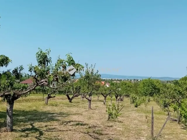Eladó telek Etyek 8335 nm