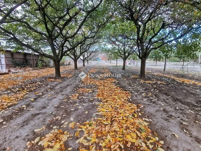 Eladó telek Zsámbék 836 nm