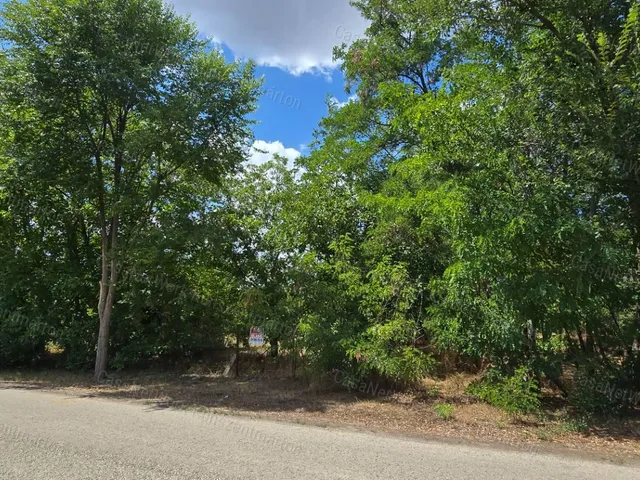 Eladó telek Cserkeszőlő 3000 nm