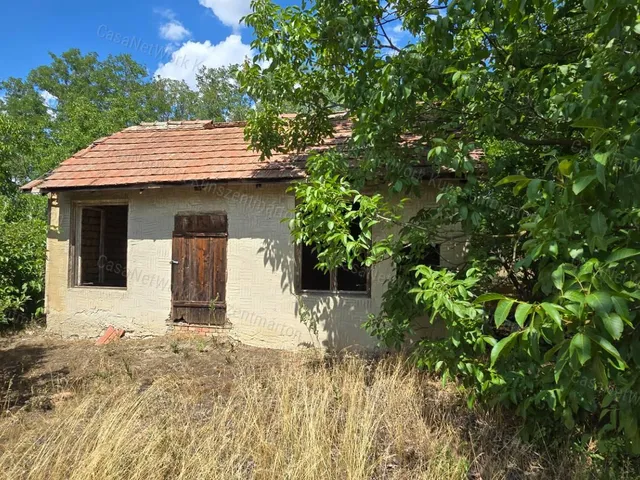 Eladó telek Cserkeszőlő 3000 nm