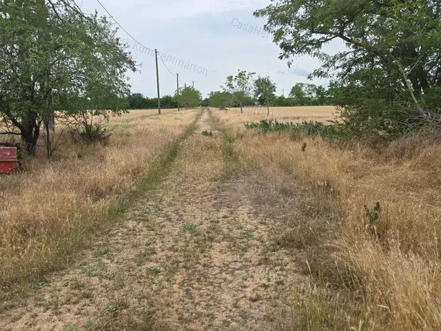Eladó mezőgazdasági ingatlan Kunszentmárton 78656 nm