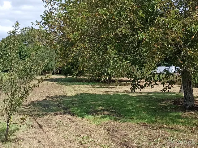 Eladó telek Kulcs 1998 nm