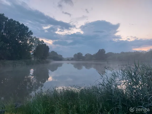 Eladó mezőgazdasági ingatlan Csősz 39200 nm