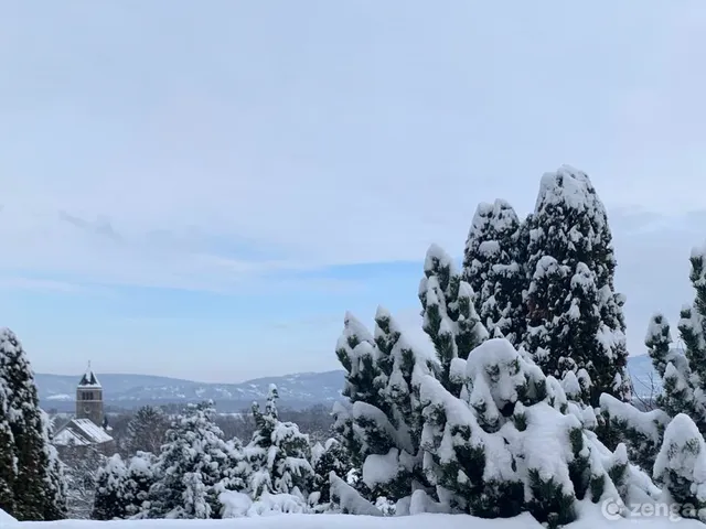 Eladó ház Dunabogdány 80 nm