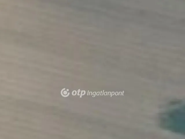 Eladó mezőgazdasági ingatlan Derecske 291 nm