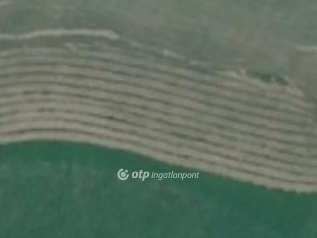 Eladó mezőgazdasági ingatlan Derecske 49232 nm