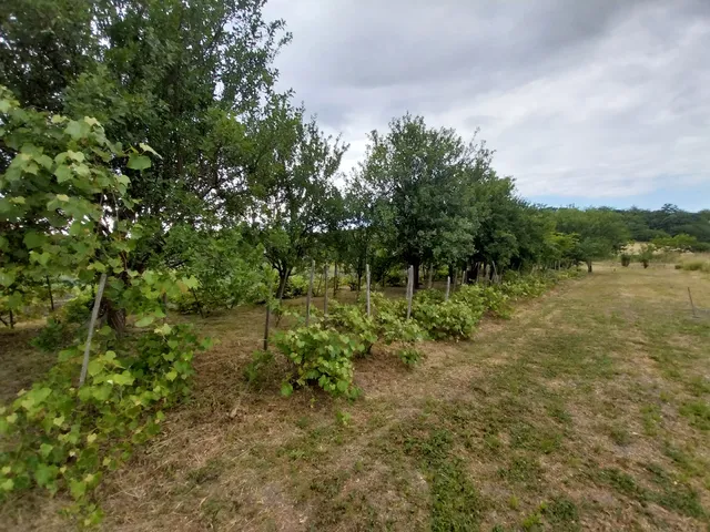 Eladó telek Felsőnyárád 863 nm