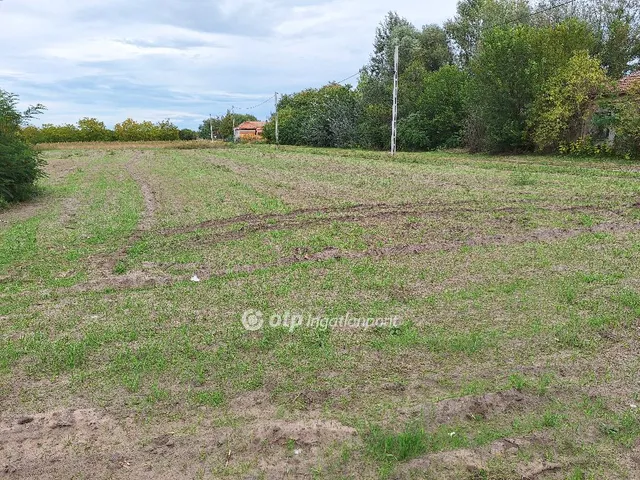 Eladó telek Tiszakécske 1319 nm