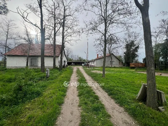 Eladó mezőgazdasági ingatlan Cegléd 150 nm