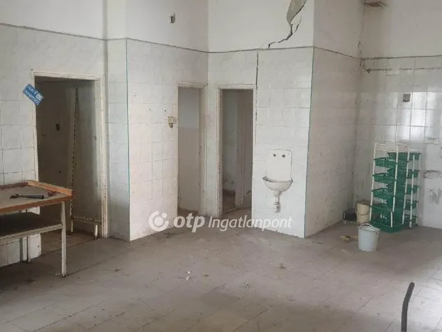 Eladó ház Tiszanána 160 nm