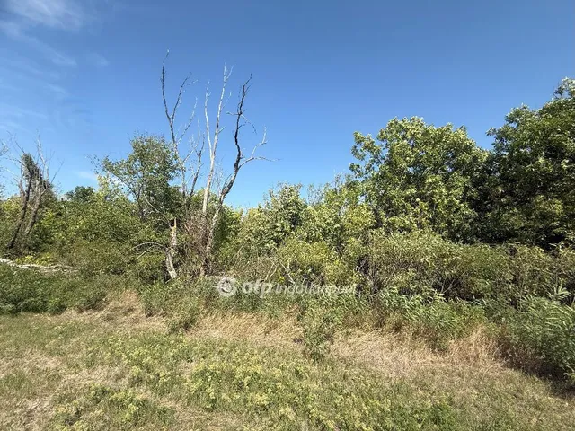 Eladó telek Gyomaendrőd 306 nm