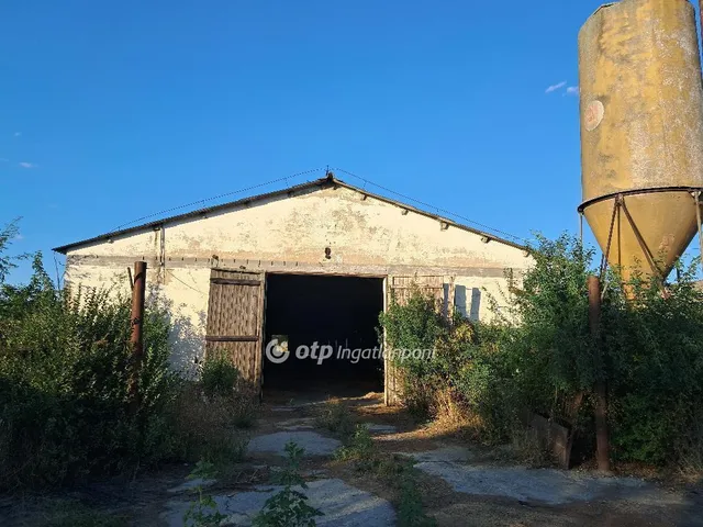 Eladó mezőgazdasági ingatlan Besenyszög 40200 nm