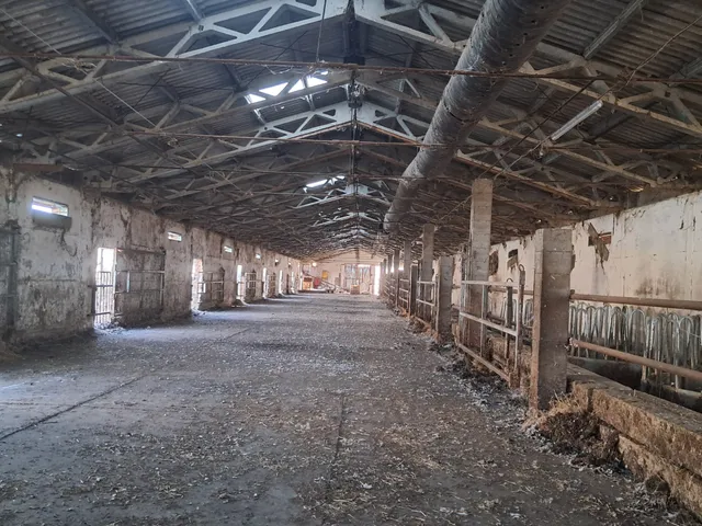 Eladó mezőgazdasági ingatlan Besenyszög 40200 nm