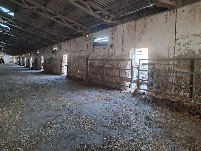 Eladó mezőgazdasági ingatlan Besenyszög 40200 nm