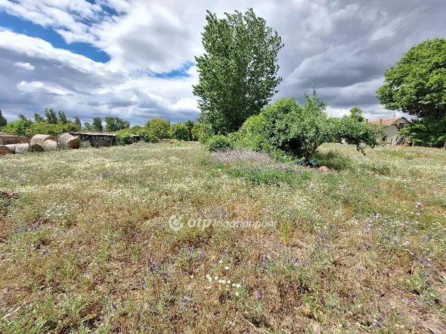 Eladó telek Tiszakécske 1075 nm