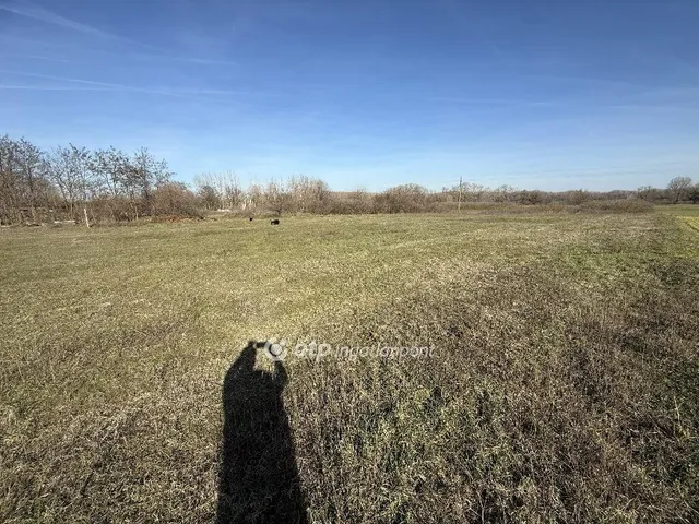 Eladó telek Tiszakécske 4678 nm