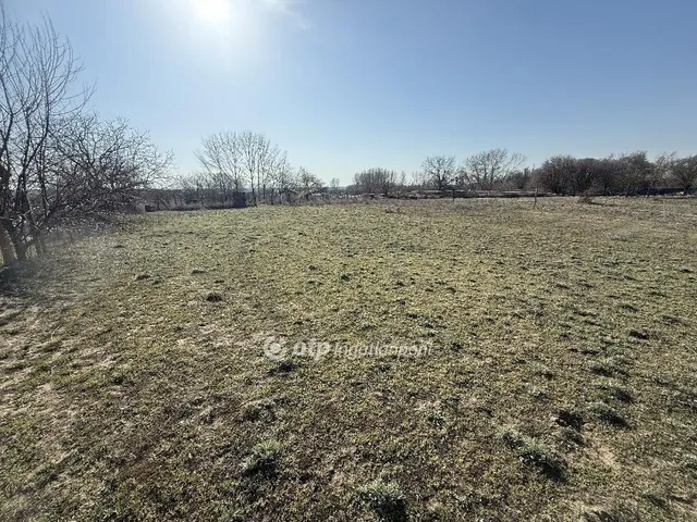 Eladó telek Tiszakécske 480 nm