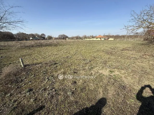 Eladó telek Tiszakécske 480 nm