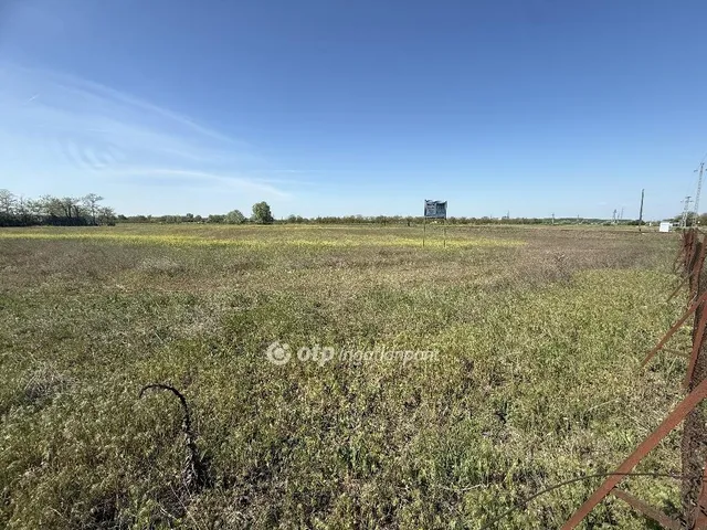 Eladó telek Tiszakécske 17073 nm