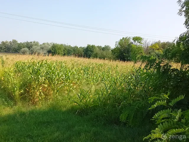 Eladó telek Nyíregyháza, Rozsrétszőlő 1500 nm