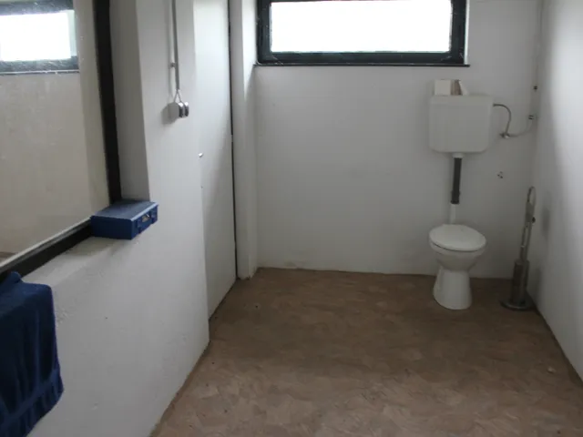 Kiadó kereskedelmi és ipari ingatlan Veszkény, Major 300 nm