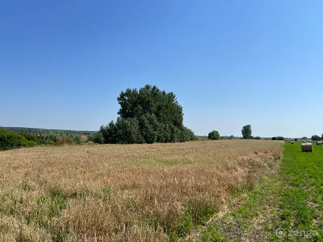 Eladó mezőgazdasági ingatlan Gyomaendrőd, Endrőd 16500 nm