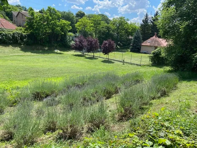 Eladó telek Biatorbágy, Iharos, Forrás u. 5000 nm