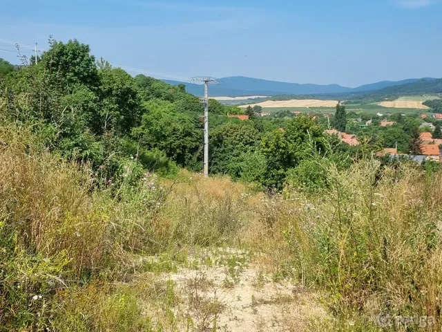 Eladó telek Pomáz, Messelia, Nyár 720 nm