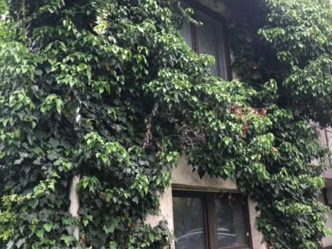 Eladó ház Bátonyterenye 52 nm