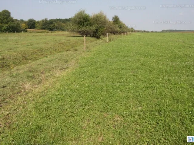 Eladó mezőgazdasági ingatlan Érpatak 9662 nm