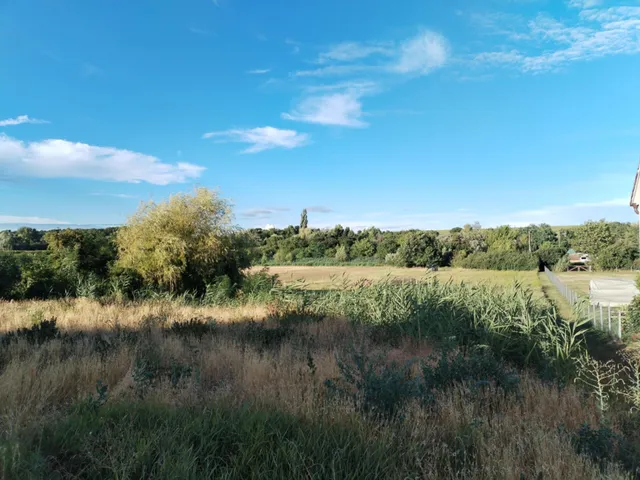 Eladó telek Palotás 1600 nm