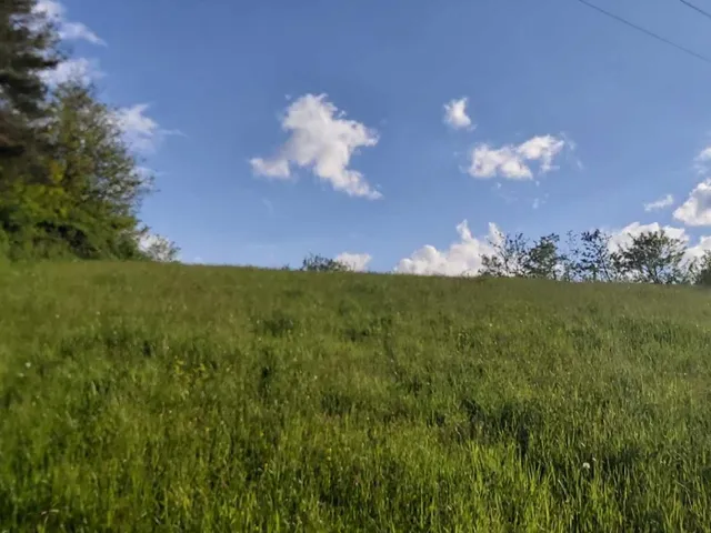 Eladó mezőgazdasági ingatlan Mátraderecske 5725 nm