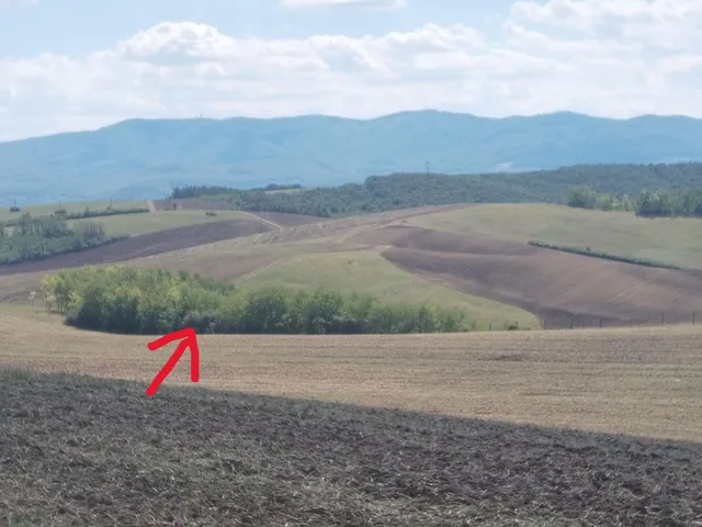 Eladó mezőgazdasági ingatlan Vizslás 5599 nm