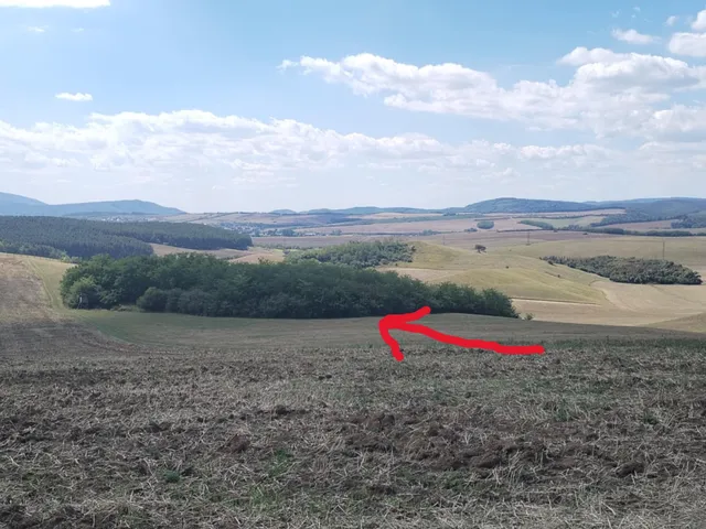Eladó mezőgazdasági ingatlan Vizslás 3319 nm