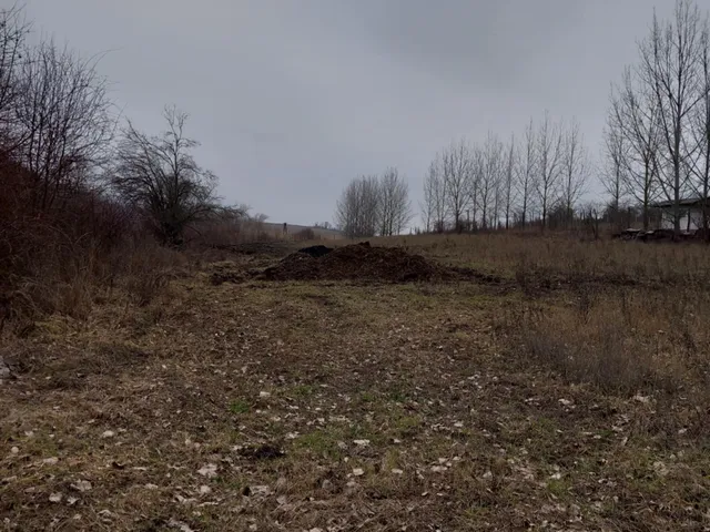 Eladó mezőgazdasági ingatlan Szanda 130 nm