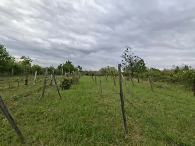 Eladó mezőgazdasági ingatlan Pásztó 1410 nm
