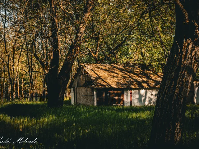 Eladó ház Mikebuda 70 nm