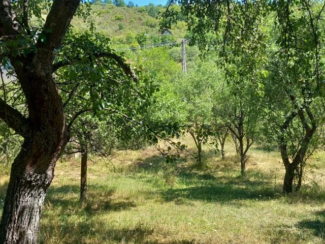 Eladó telek Alsópetény 1300 nm