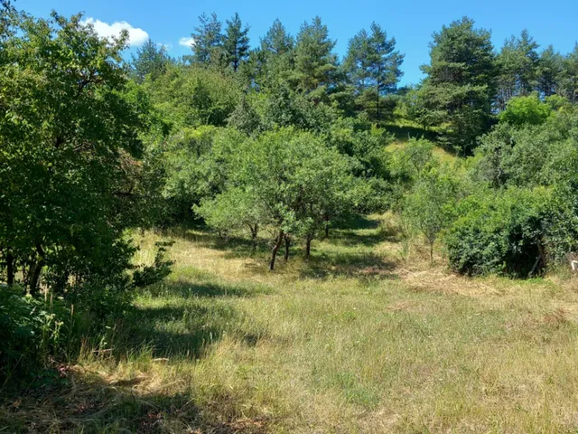Eladó telek Alsópetény 1300 nm